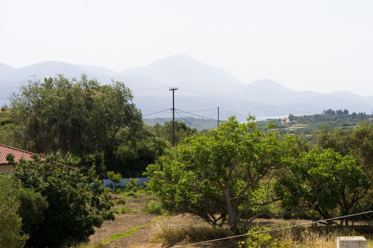 Vilatoria Guesthouse Agia Thekli 外观 照片